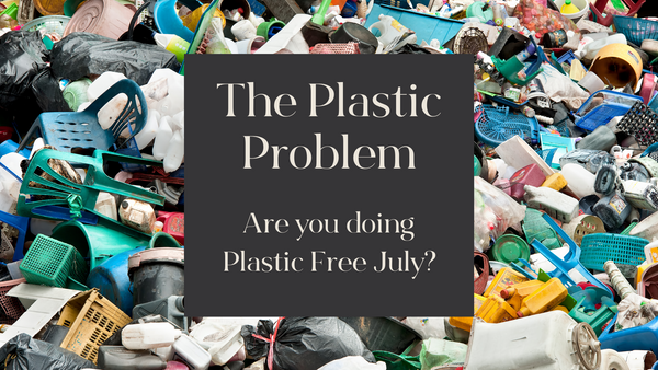 The Plastic Problem: Are you doing Plastic Free July?